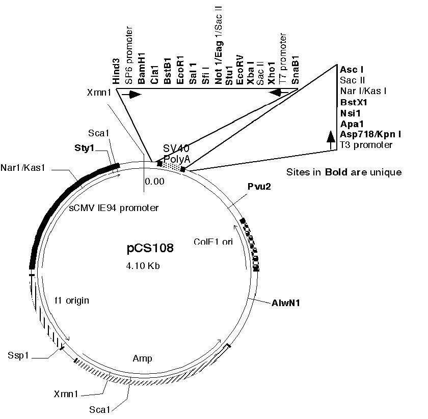 Vector Map