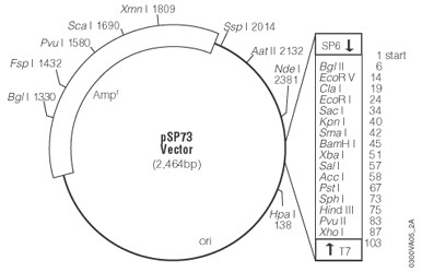 Vector Map