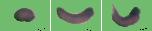 Expression Image